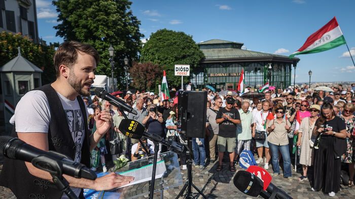 Szimpátiatüntetés a közjogi méltóságok mellett tüntetés Sándor-palota