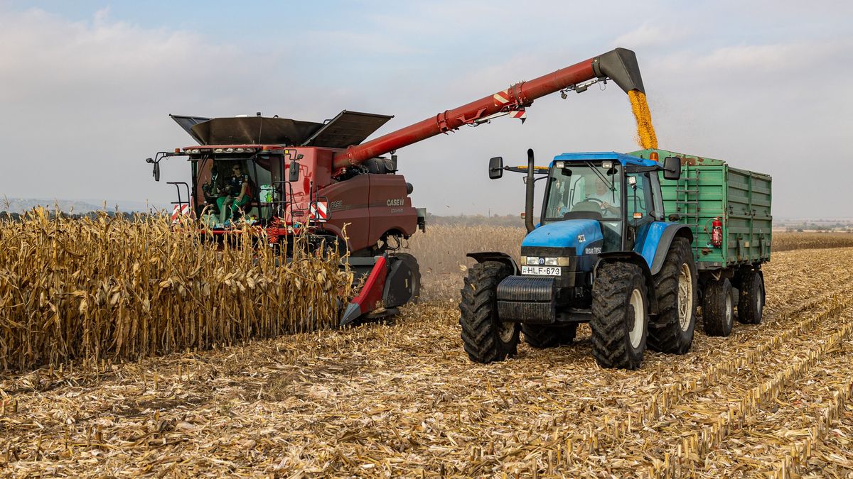 Unprecedented wages in Hungarian agriculture, yet labor shortage worsens