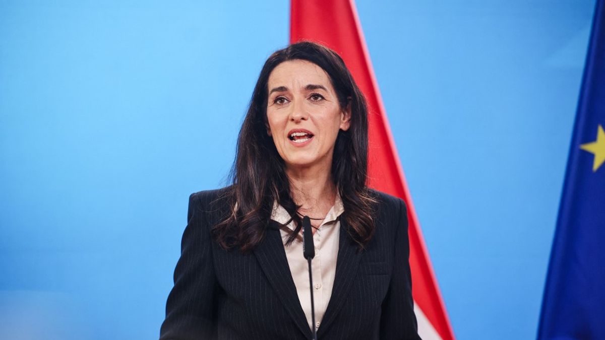 Magyar, lengyel és szlovák külügyminiszterekkel egyeztetett az új szlovén kormány tárcavezetője