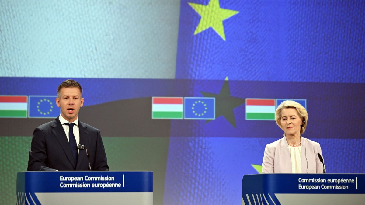 EU Migration Pact takes effect: Hungary faces choice of accepting refugees or paying hefty fines