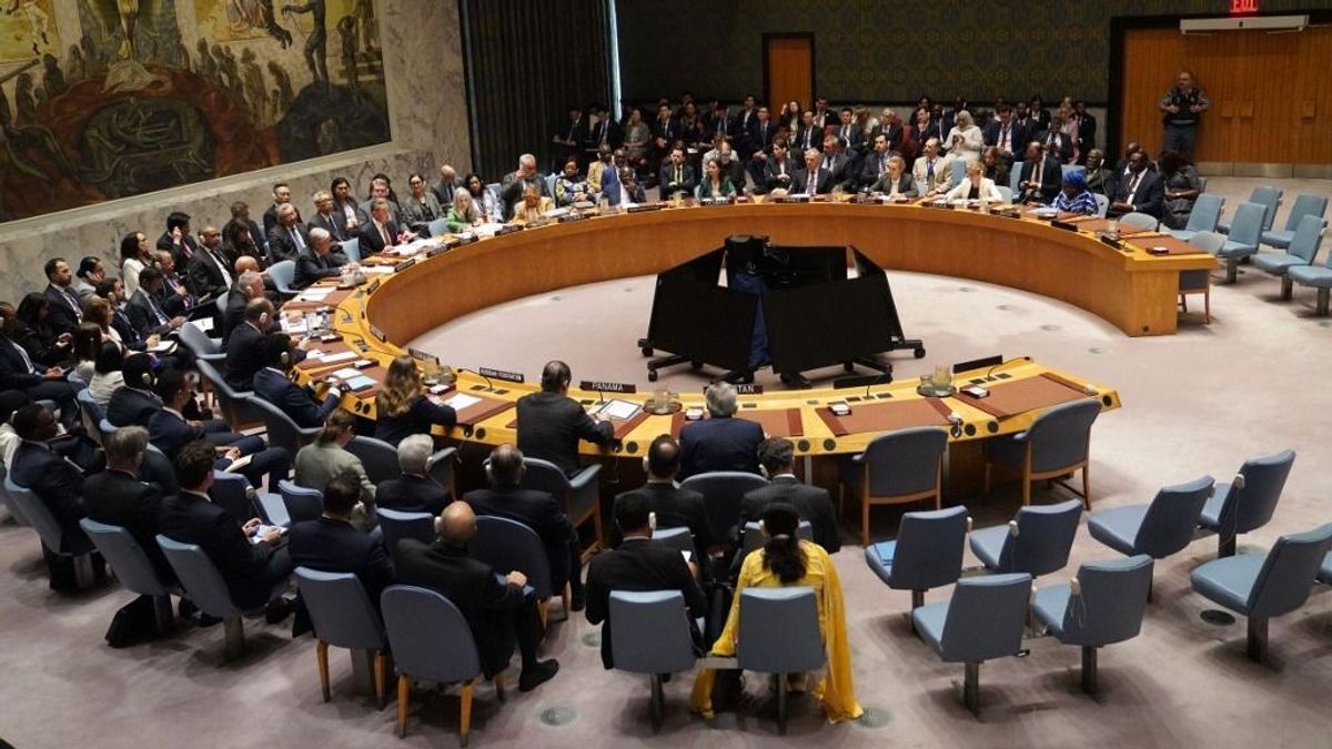 Austria Eyes Key Global Role Amidst UN Security Council Seat Bid and Accusations of Compromise
