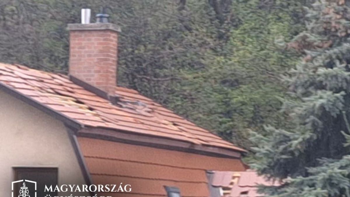 Egyik háztetőről a másikra ugrált Pest vármegye réme, csak a rendőrök tudták leállítani az ámokfutást
