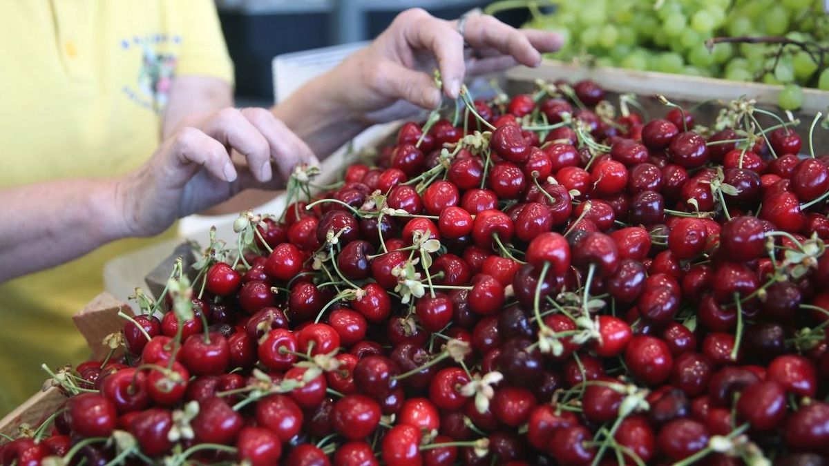 A tavalyinál is kevesebb meggy teremhet idén, a cseresznye kicsit jobb helyzetben van