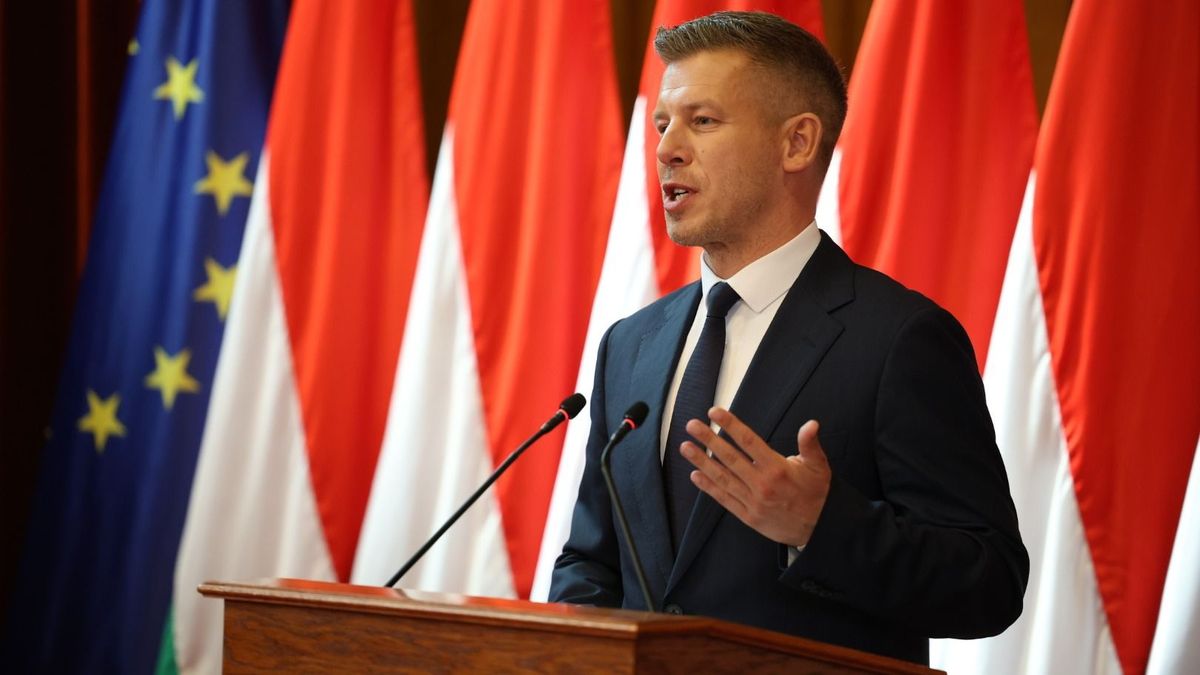 „Majdnem csendben maradtam, mert féltem” – saját táborából érte kemény kritika a Tiszát