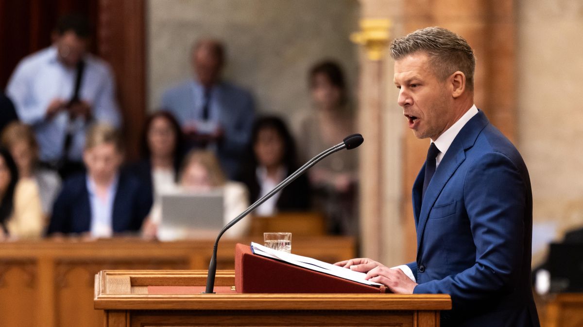 Magyar Péter az 1956-os forradalom mártírjaira emlékezik az Országgyűlésben – Kövesse nálunk élőben!