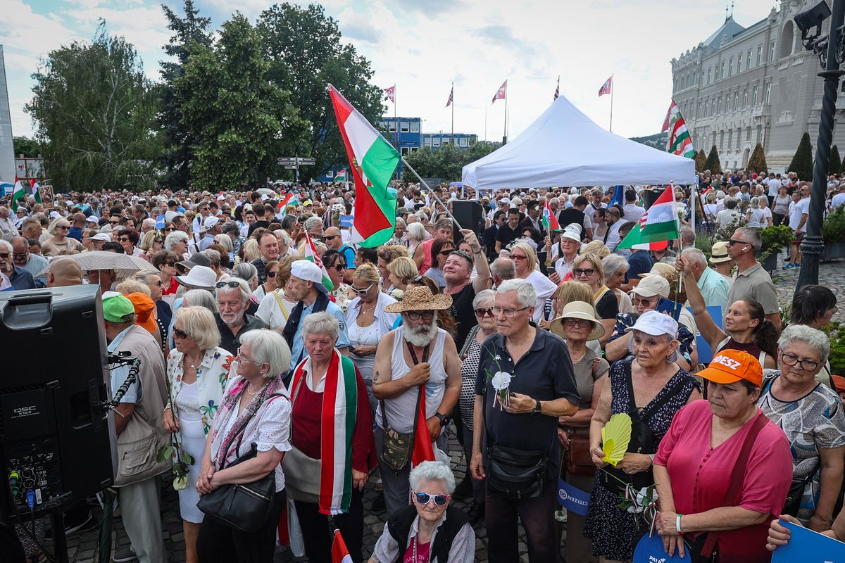 Szimpátiatüntetés a közjogi méltóságok mellett tüntetés Sándor-palota