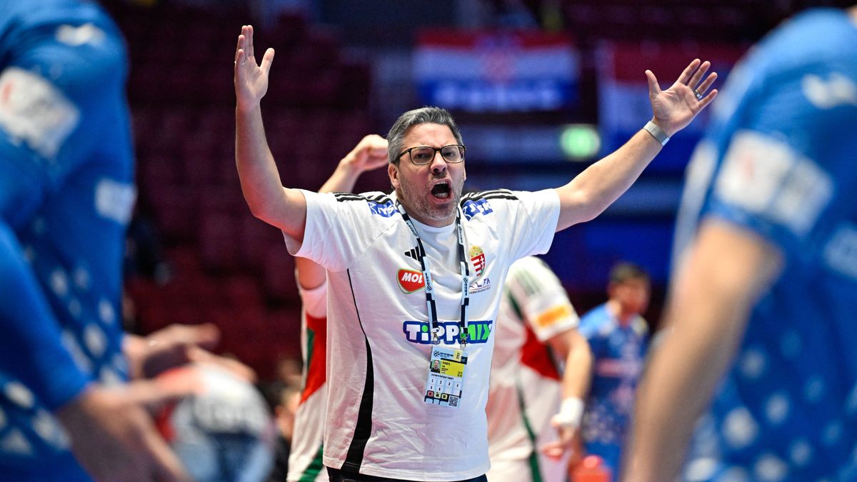 Coach Chema Rodríguez to remain in Hungary, reasons revealed
