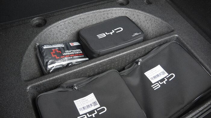 BYD Dolphin G