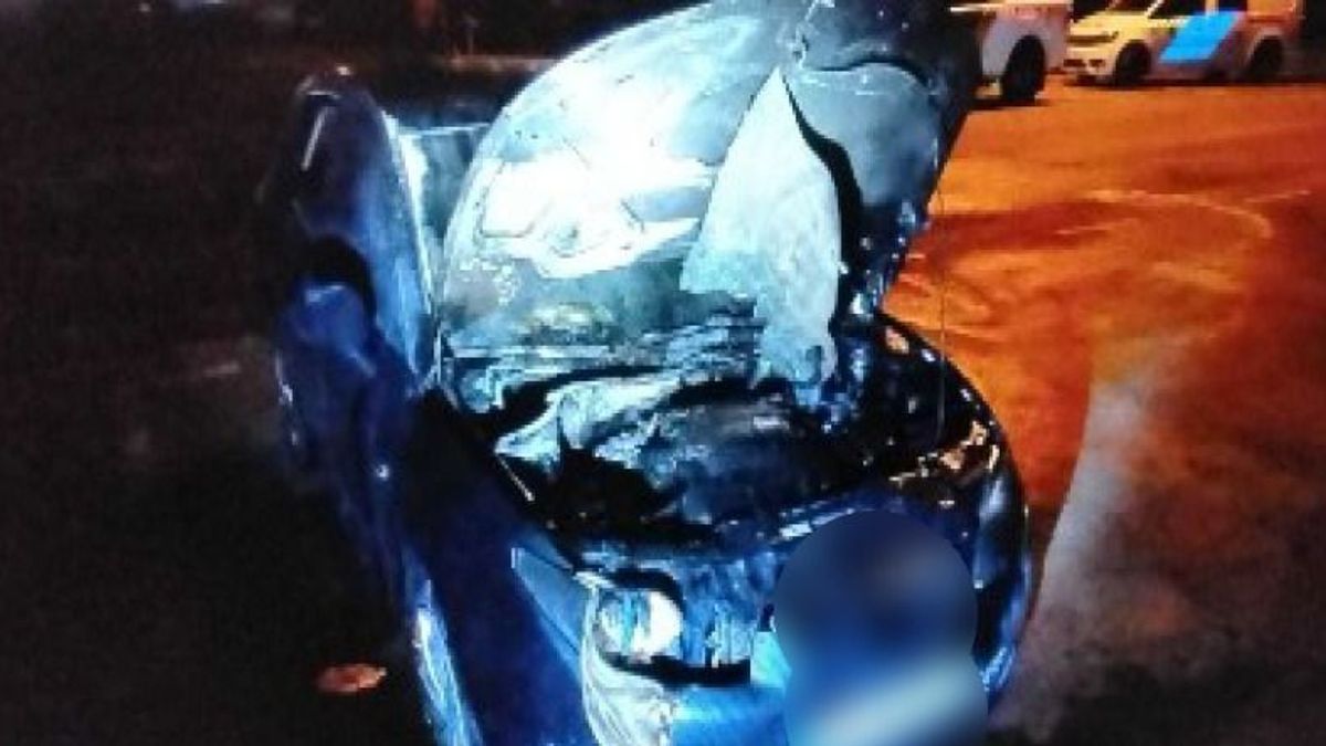Hungary: Police car torched in Gödöllő; suspect arrested