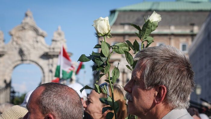 Szimpátiatüntetés a közjogi méltóságok mellett tüntetés Sándor-palota