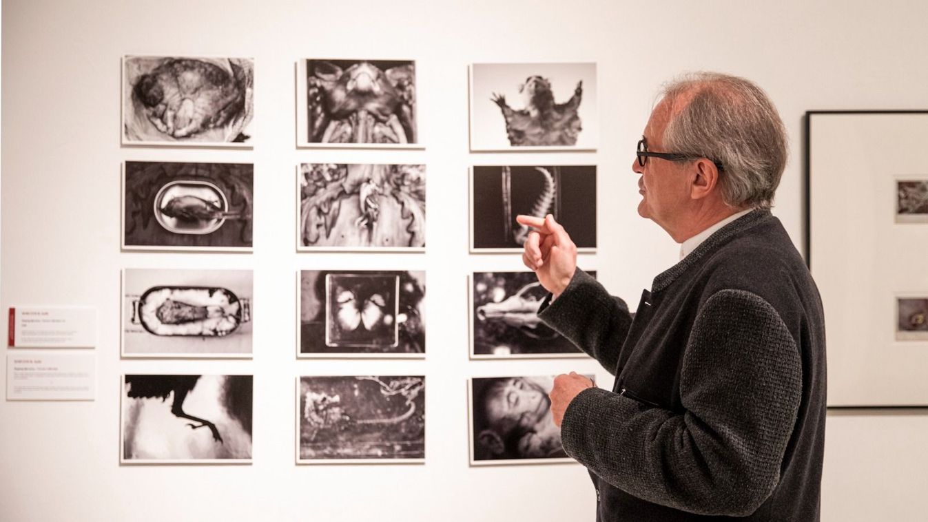 Schild Tamás fotográfus tárlatvezetést tart az előző Fotóművészeti Nemzeti Szalonban, még 2021-ben. Forrás: Műcsarnok