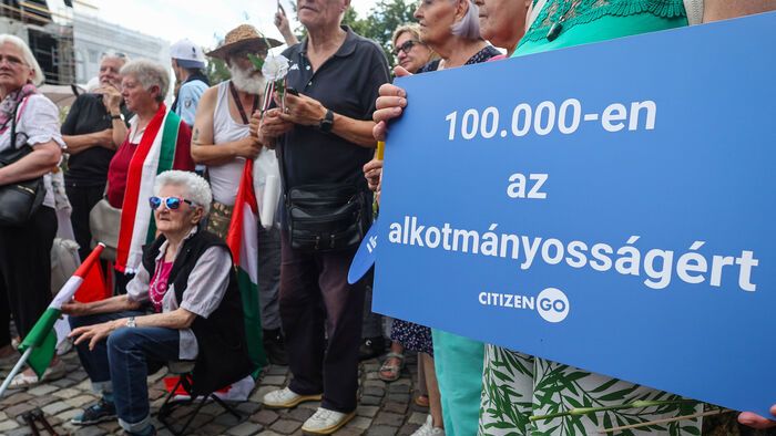 Szimpátiatüntetés a közjogi méltóságok mellett tüntetés Sándor-palota