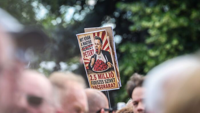 Szimpátiatüntetés a közjogi méltóságok mellett tüntetés Sándor-palota