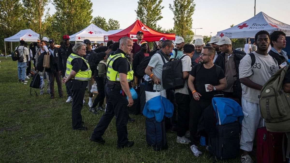 Hollandia lábon lövi magát a migráció ügyében