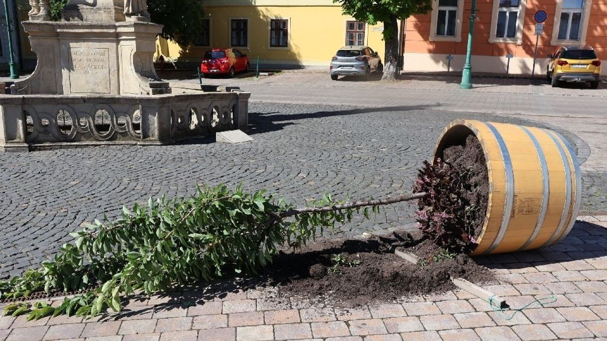 Akkorát bulizott három fiatal a belvárosban, hogy másnap már kopogtattak is a rendőrök az ajtón