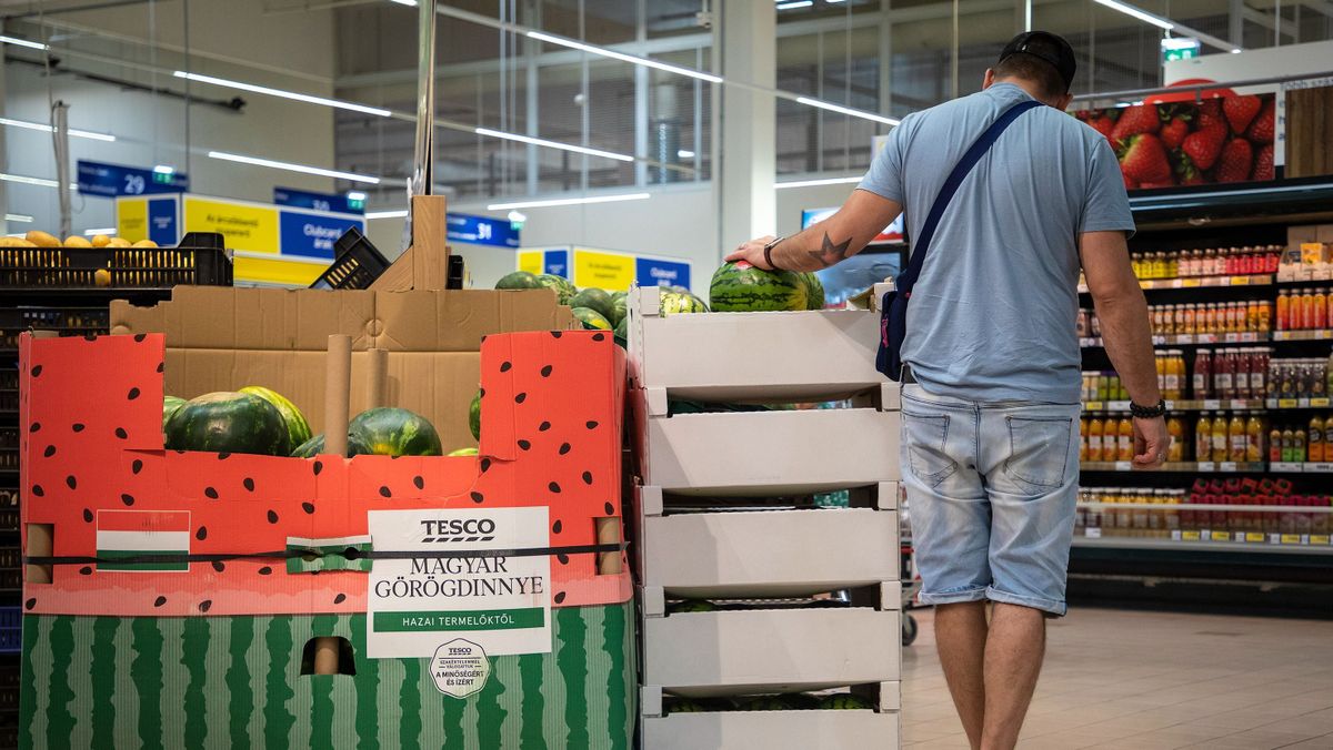 20250813 Budaörs 
Tesco illusztráció

Fotó: Vémi Zoltán  VZ
MW 

A képen: dinnye 
görögdinnye