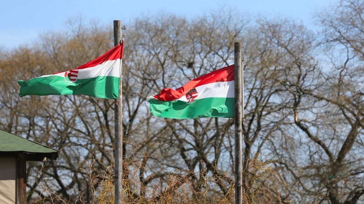 New Horizons Near Bükk and Mátra: It's Worth Working and Living Here!