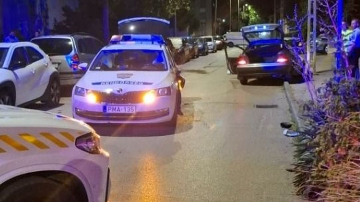 Drug-Fueled Youths Wreck Car in Székesfehérvár Street Chase, Crash into Police