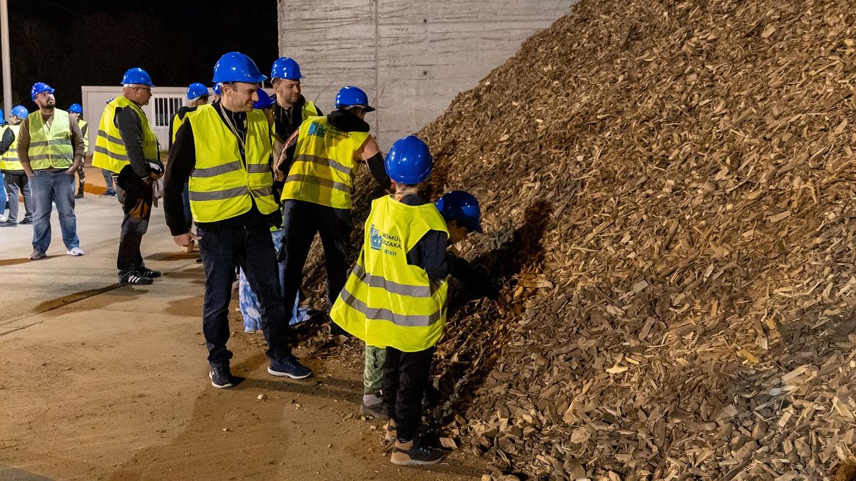 Hungary's Bioenergy Sector Poised for Growth Amidst Rising Biomass Use
