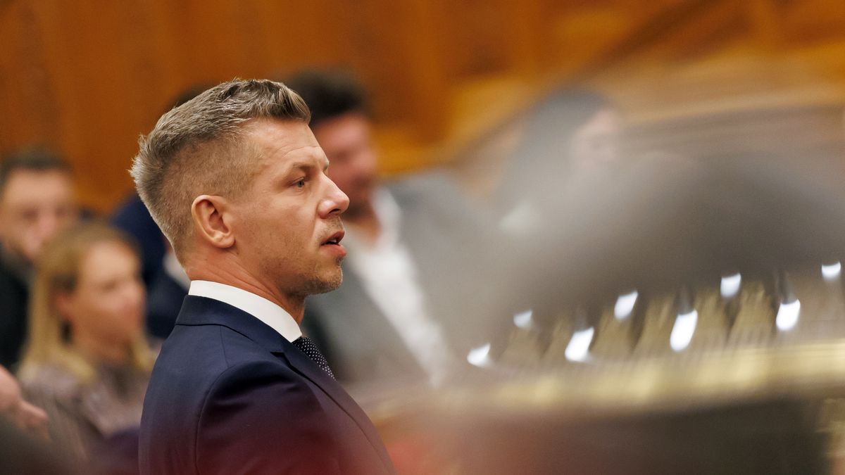 Egy héten belül új köztársasági elnököt választ Magyar Péter