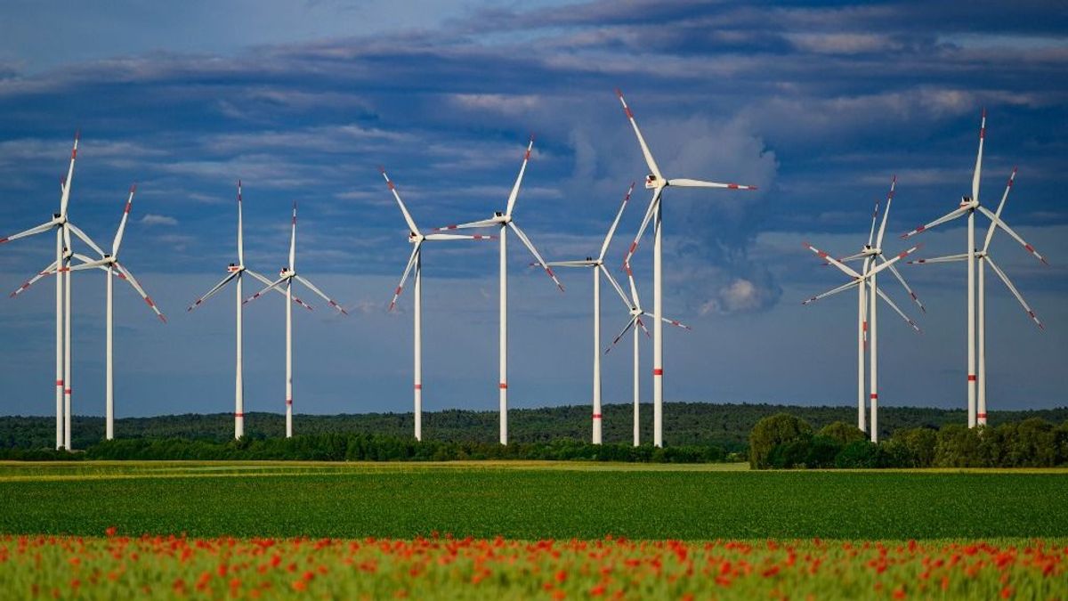 EU's Renewable Energy Push Criticized as Irrational and Uncompetitive