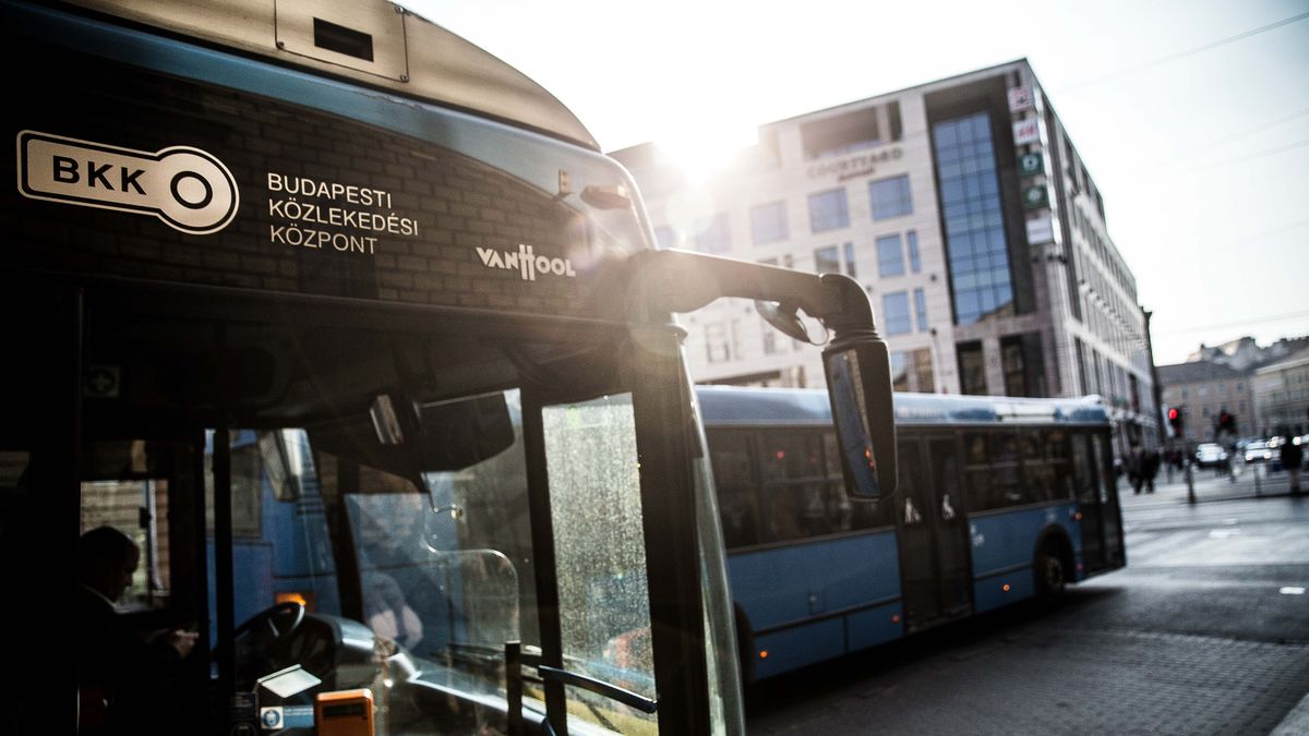 Hihetetlen: egy vaddisznó lement a mozgólépcsőn és beszállt a metróba a Kossuth téren