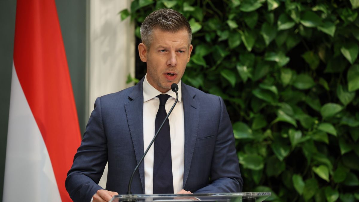 Telex Analysis: Magyar Péter's Attacks on Áder János Lacked Evidence