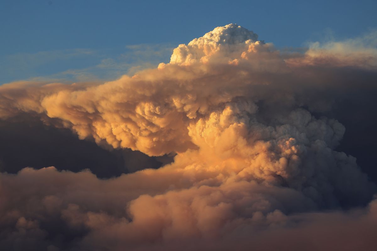 A pyrocumulus felhők rendkívül veszélyesek (Fotó: DAVID MCNEW / GETTY IMAGES NORTH AMERICA)