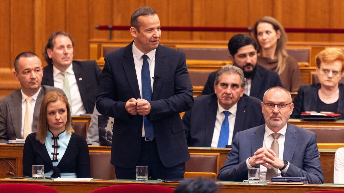 Toroczkai László: 'I want to represent civilian Hungary'