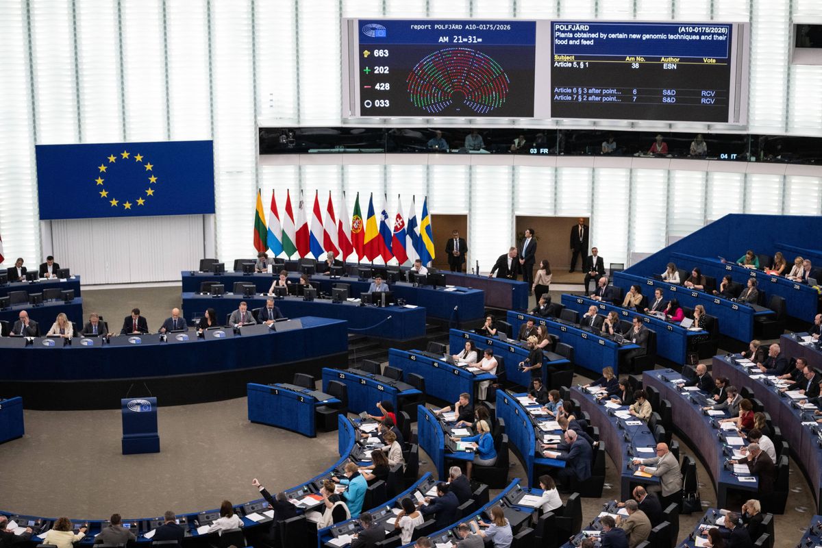 Az Európai Parlamentben dolgozók már régóta használják a mesterséges intelligenciát, de a kockázatokkal nem foglalkoztak (Fotó: SEBASTIEN BOZON / AFP)