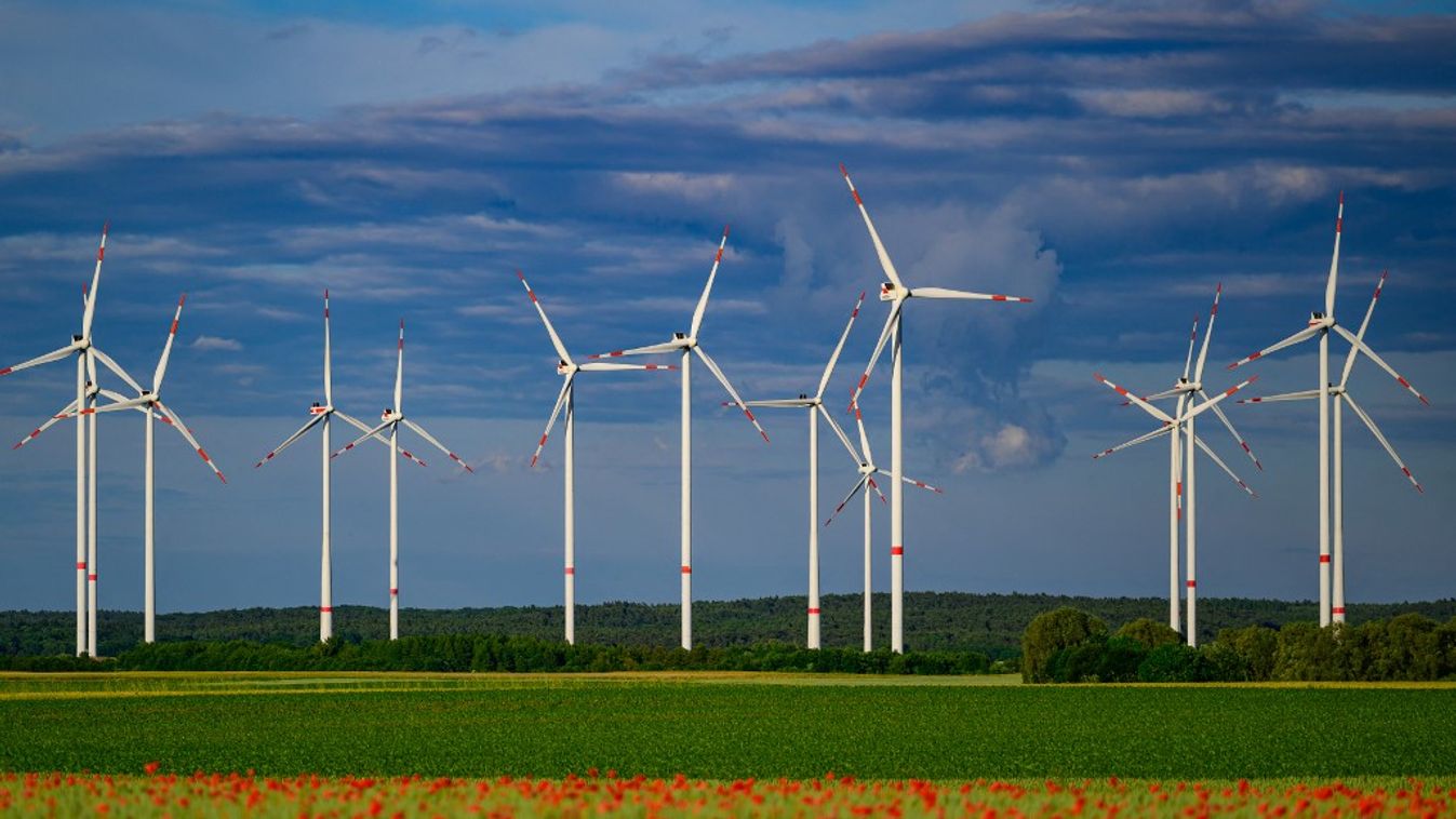 05 June 2026, Brandenburg, Petersdorf: Several wind turbines generate environmentally friendly electricity from renewable energies on an agricultural area. The interplay of modern wind power and a blooming poppy field in the foreground symbolizes the shif