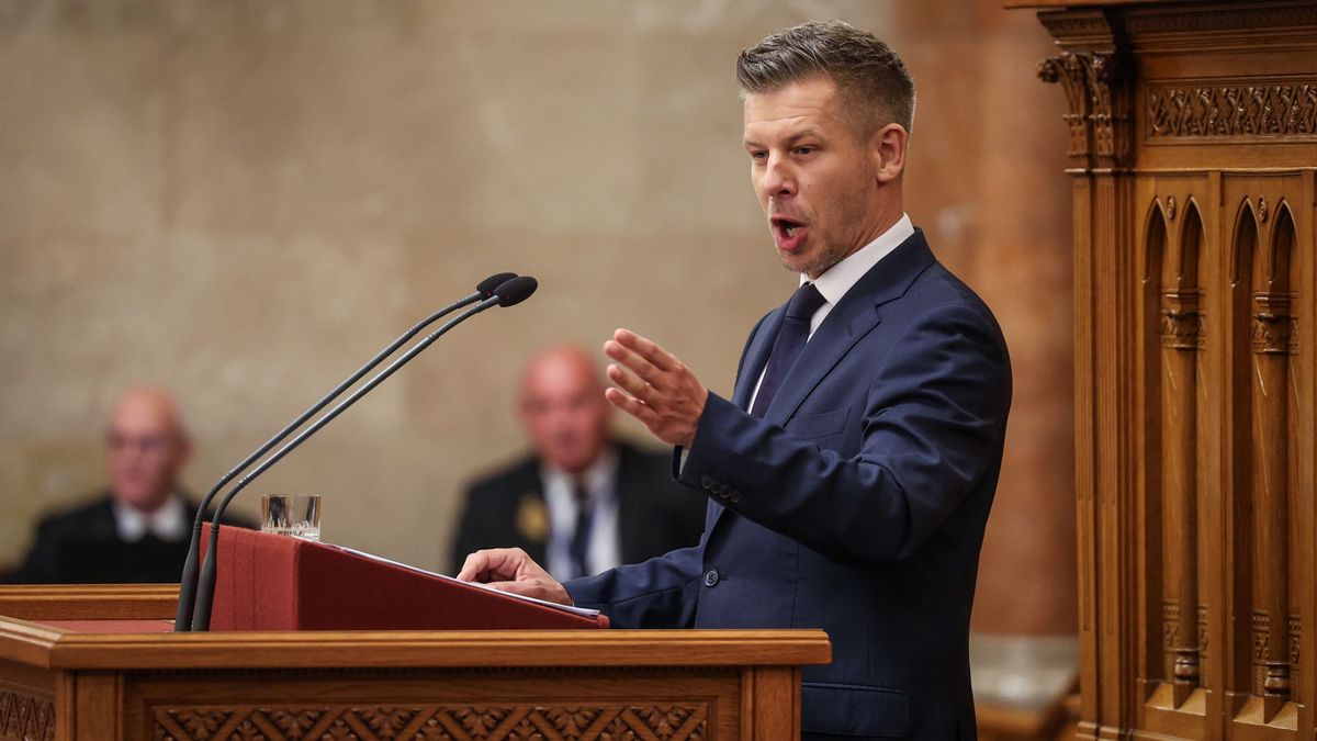 Roosevelt's Failed Court Reform Echoes in Hungary, Warning Against Undermining Institutions