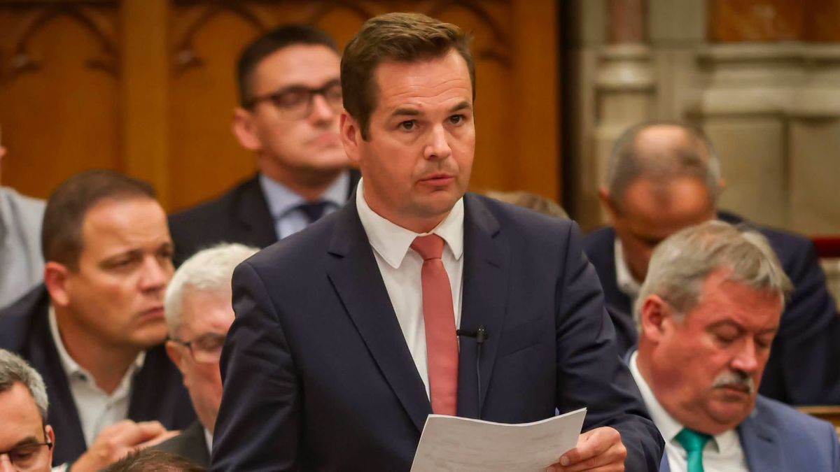 Hungarian commentary questions Krisztián Kulcsár's role in parliament