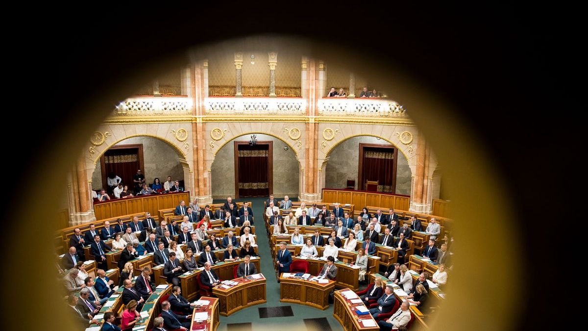 Magyar Péter