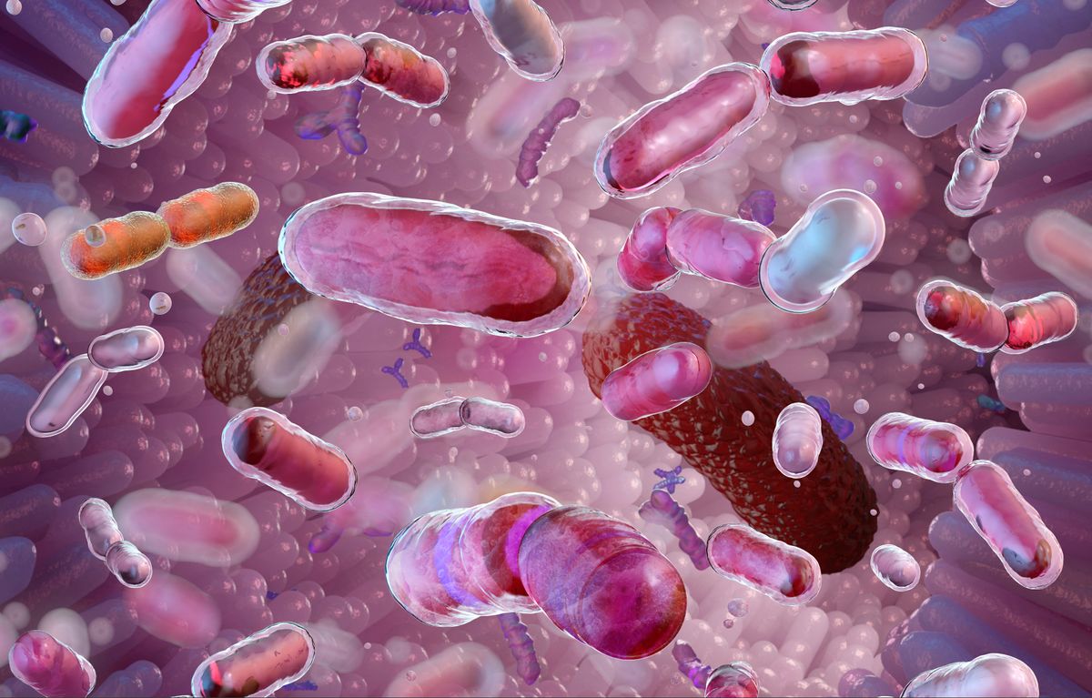 Gut bacteria, illustration. (Photo by RUSLANAS BARANAUSKAS/SCIENCE PHO / RBU / Science Photo Library via AFP)
