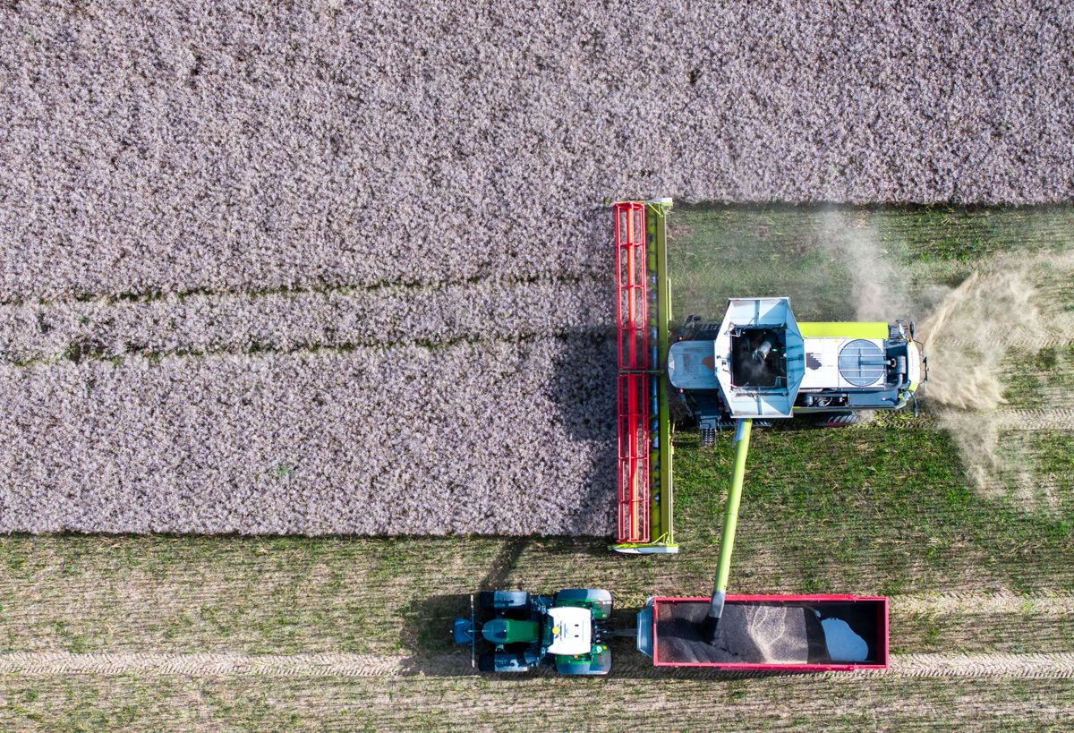 Az agrárium is súlyos milliárdokkal lehet szegényebb a következő uniós költségvetésben (Fotó: JENS BUTTNER / DPA)