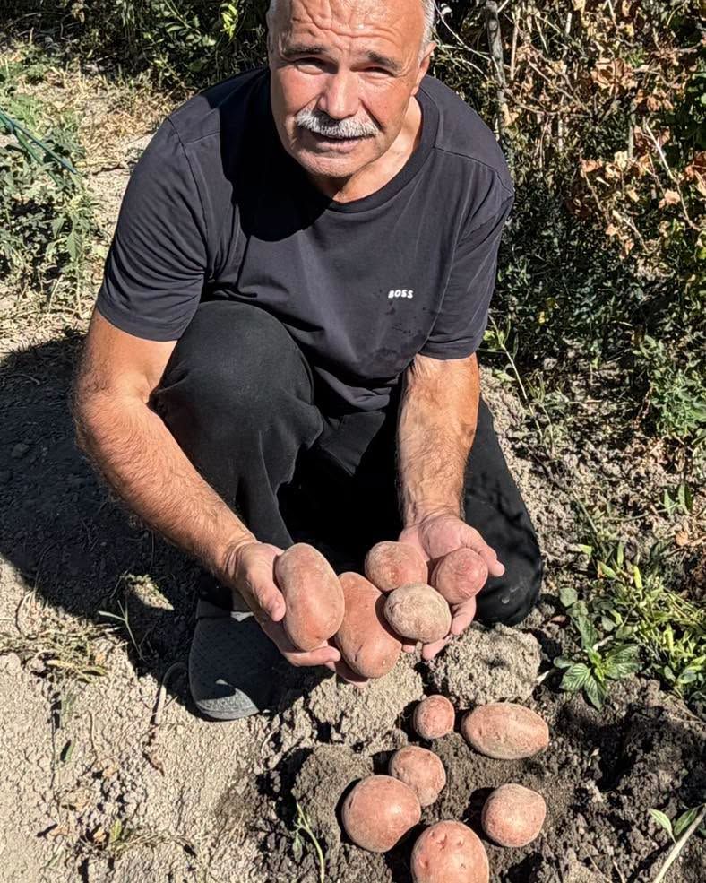 Nagy István