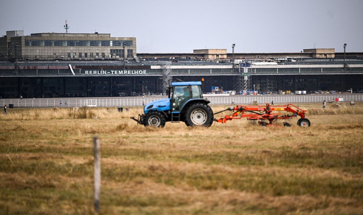 A szakértők kongatják a vészharangot, hamarosan nagy bajban lehet az élelmiszeripar (Fotó: BRITTA PEDERSEN / DPA)