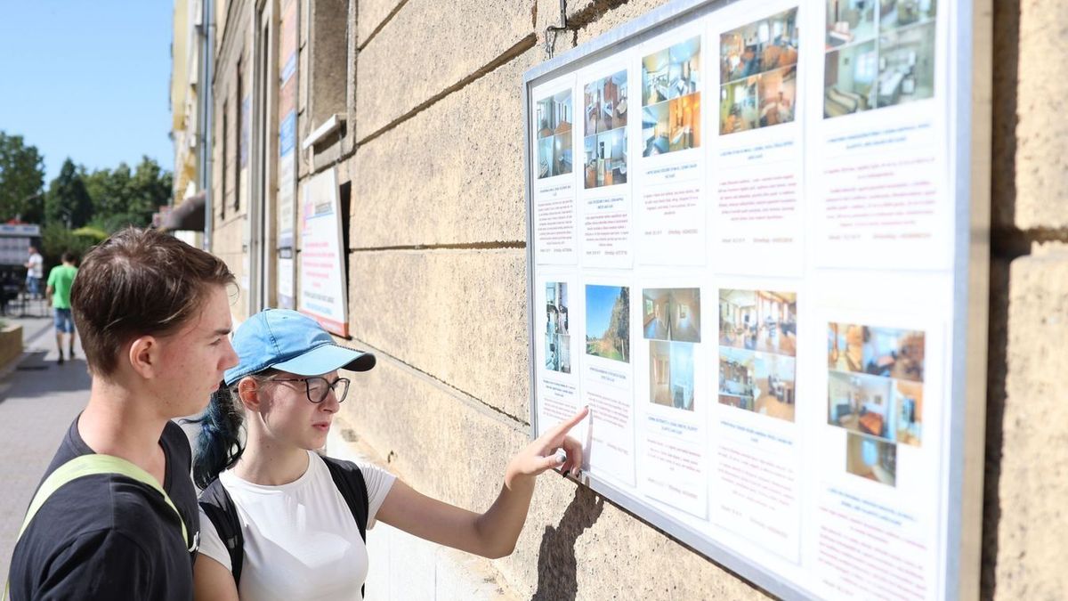 Elmaradt egyelőre az albérletpiaci roham, még a díjak sem kúsztak feljebb