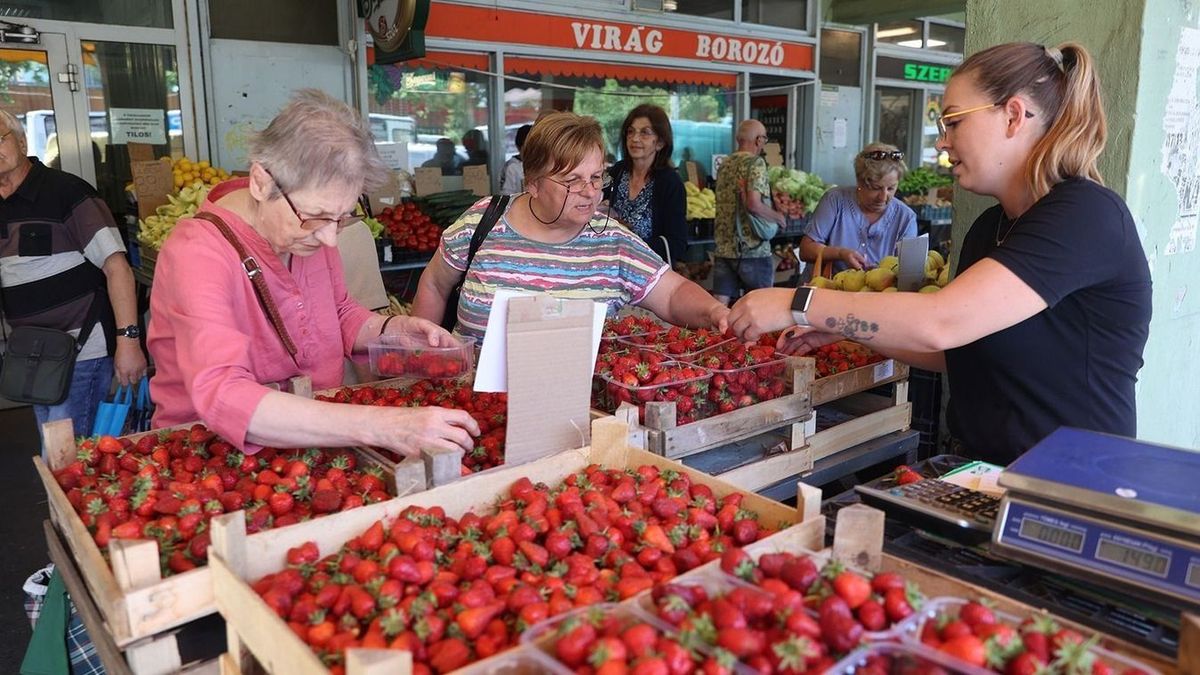 Nagy István: Szükség lenne egy „Szezonális magyar termék” programra