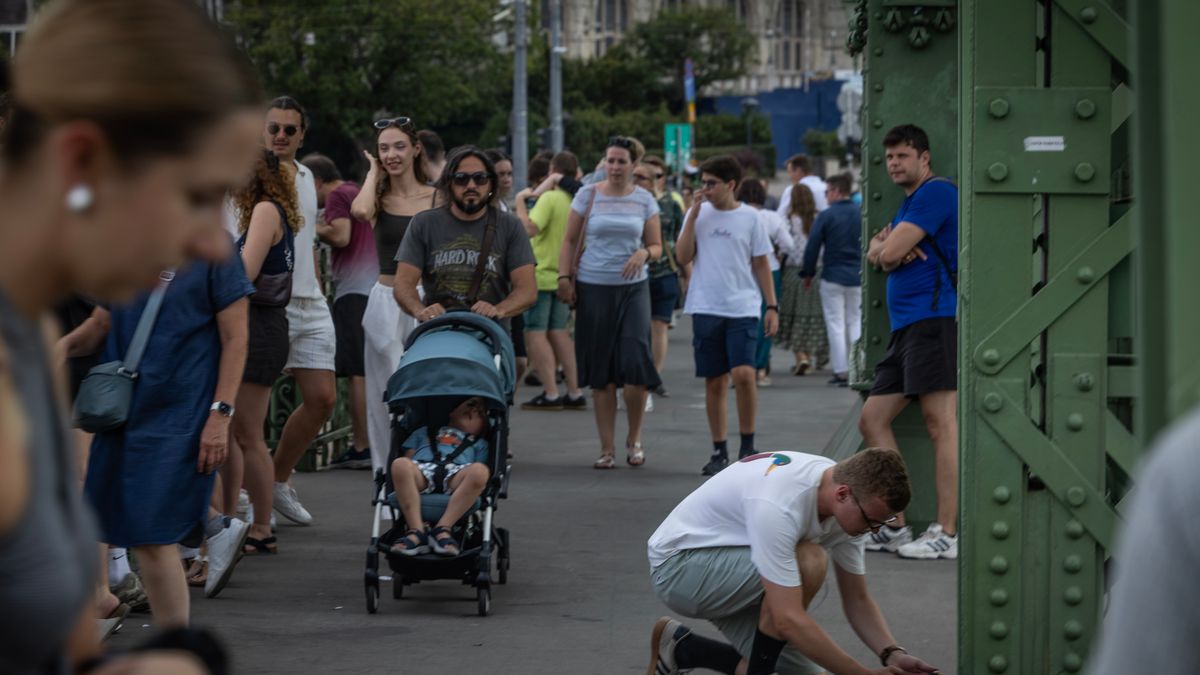 Vámszedőházak, hídrobbantás, jégzajlás és uszályok – itt a teljes története a Szabadság hídnál láthatóvá vált roncsnak
