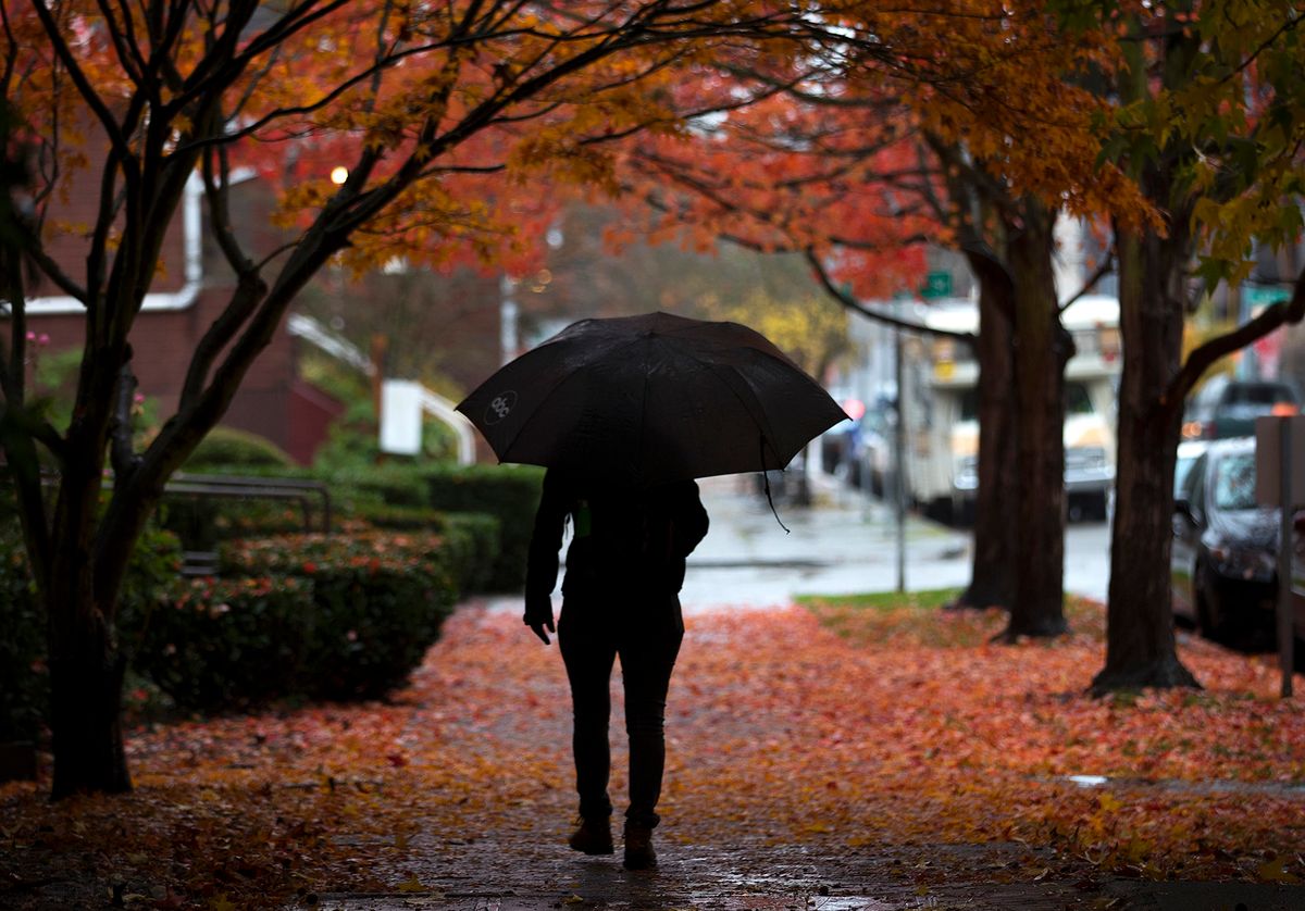 A pedestrian walks in the rain on Tuesday, November 21, 2017, near the intersection of 22nd Ave. and 58th St., in Seattle. KUOW Photo/Megan Farmer