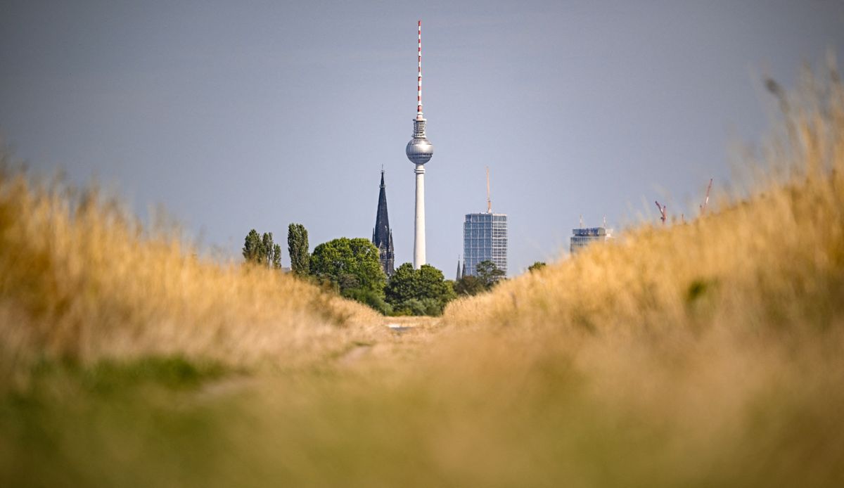 A Föld termőtalajának fele már alkalmatlan arra, hogy egészséges élelmet adjon (Fotó: BRITTA PEDERSEN / DPA)