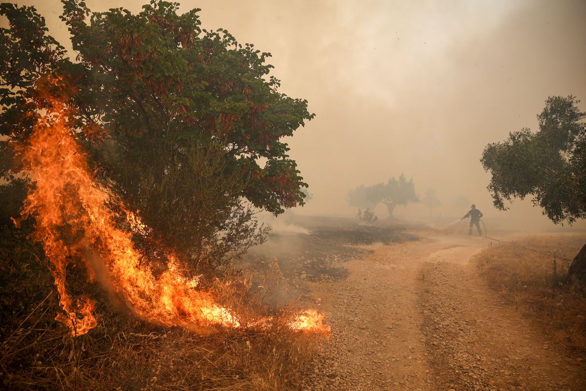 Firefighters try to extinguish a wildfire in Loumpa village, west of Athens, in the Viotia region, on August 2, 2026. Greece on August 2, 2026, faced multiple fronts and a growing damage toll after a week of wildfires devastated over 12,000 hectares of forest and agricultural land, experts said. (Photo by Aris Oikonomou / AFP)