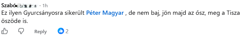 Gyurcsány Ferenc is felbukkant a kommentek között (Fotó: Facebook)