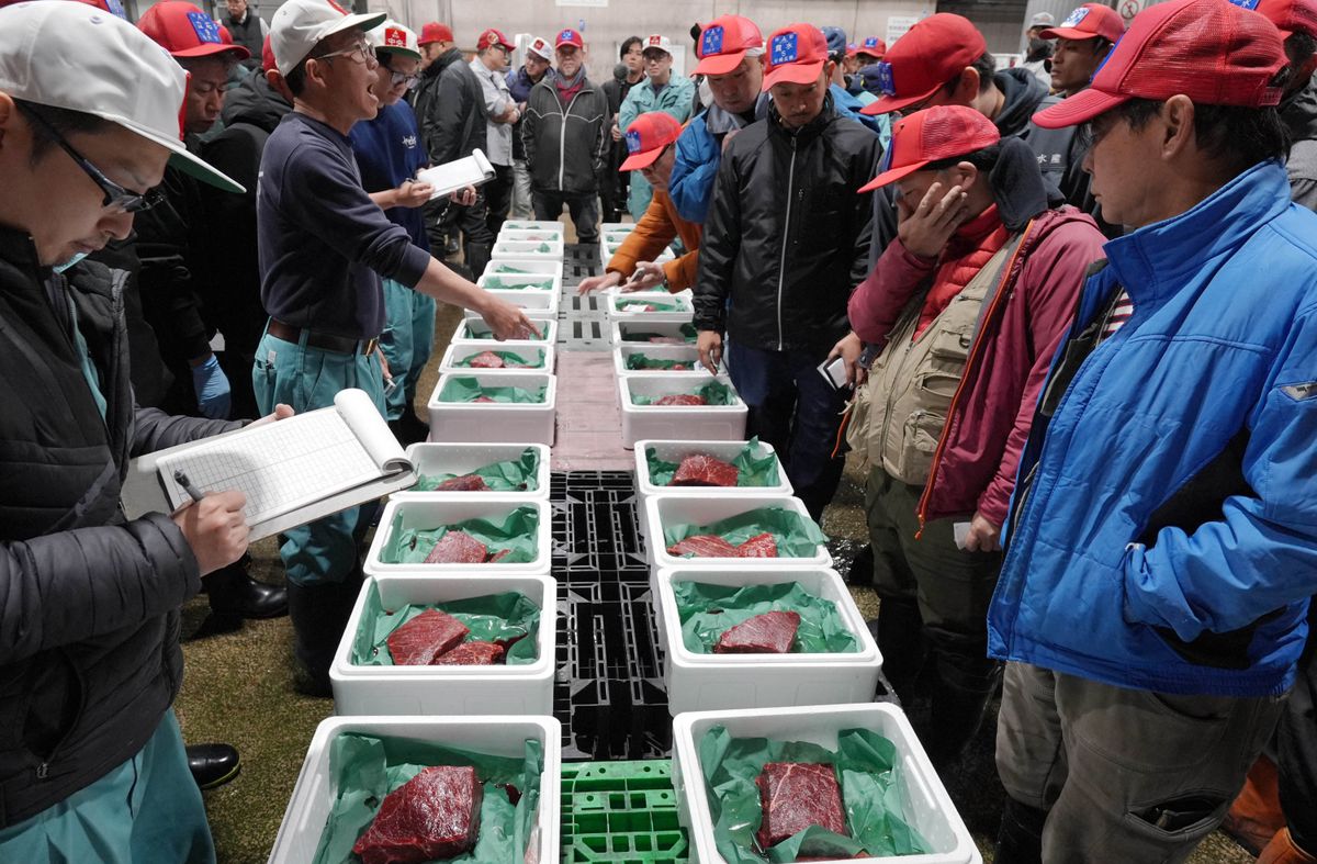 Wholesalers attend the auction of row Fin Whale meat at the Central Wholesale Market in Fukuoka City, Kyushu, western Japan, on November 29, 2025. ( The Yomiuri Shimbun ) (Photo by Kazuki WAKASUGI / The Yomiuri Shimbun via AFP)