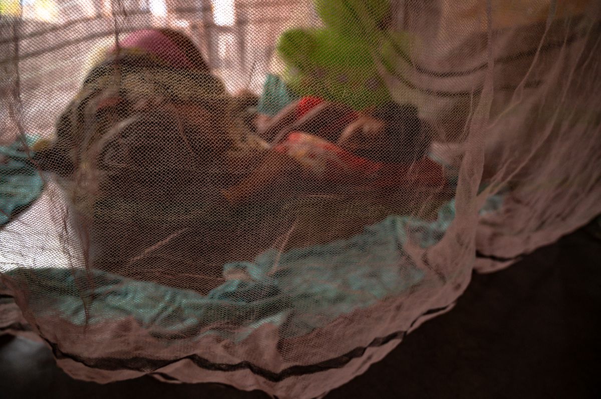 A mosquito net is hung in a house to protect children and elderly women from mosquito bites in Tehatta, West Bengal, India, on August 20, 2026. World Mosquito Day is observed on August 20 to honor Sir Ronald Ross's 1897 discovery in India that female mosquitoes transmit malaria. Mosquitoes are responsible for over 700,000 deaths each year. The day raises awareness of mosquito-borne diseases like dengue, malaria, chikungunya, and Zika, highlighting the importance of community prevention, vector control, and the use of mosquito nets as a barrier against bites. Aggressive daytime-biting mosquitoes like Aedes aegypti and Aedes albopictus begin their blood meal on humans. (Photo by Soumyabrata Roy/NurPhoto) (Photo by Soumyabrata Roy / NurPhoto via AFP)