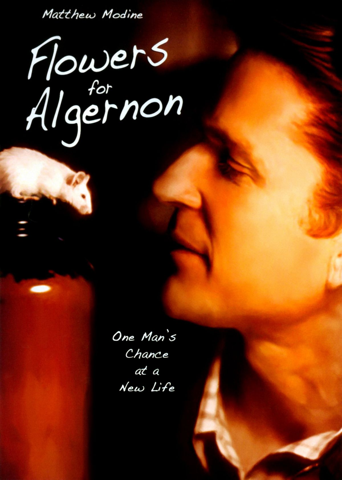 Charlie, dráma, Algernon, film