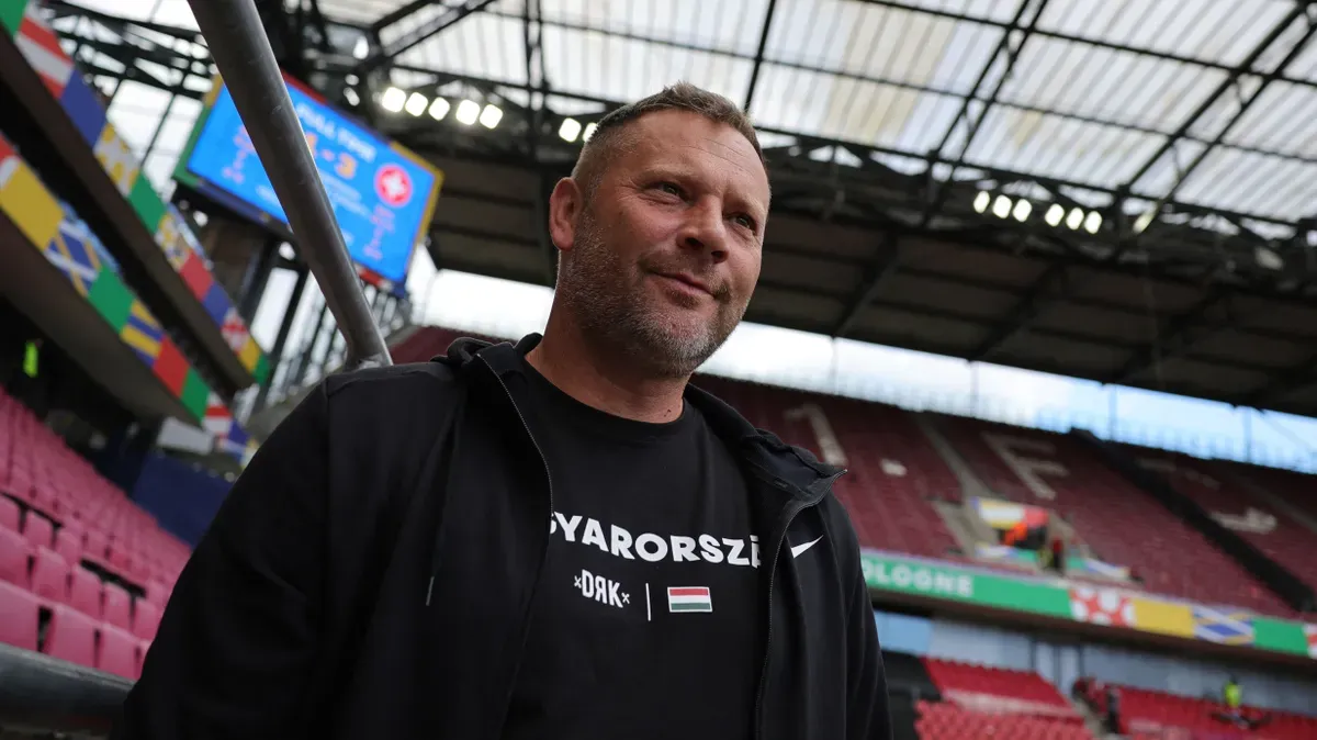 Dárdai Pál