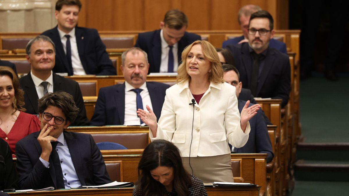 Újságnyomtatással bővítette tevékenységét a Tisza-frakció